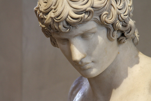 classical-beauty-of-the-past:Antinous