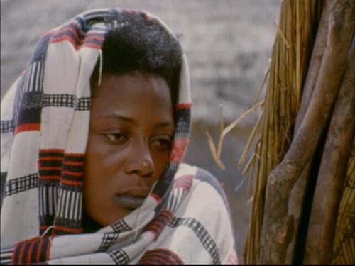 yumenoyouna: Le wazzou polygame (Oumarou Ganda, 1971)