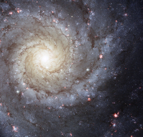 Messier 74 is a spiral galaxy in the constellation Pisces. Located approximately 32 million light ye