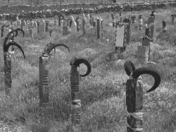 jeffreydamnher:  Nokhur Cemetery (Nokhur,