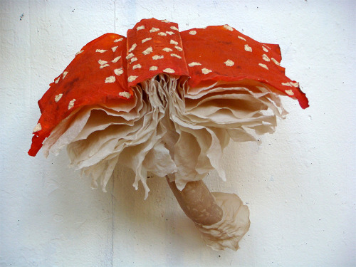 archiemcphee:  Look closely, these frilly mushrooms are made of books. Although they look like something Alice might’ve encountered during her adventures in Wonderland, they’re the creation of Chicago-based visual artist Melissa Jay Craig. Entitled