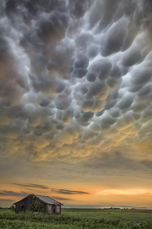 etherealvistas:  Mammatus (USA) by   Jason Weingart ||  Website ||  Facebook  