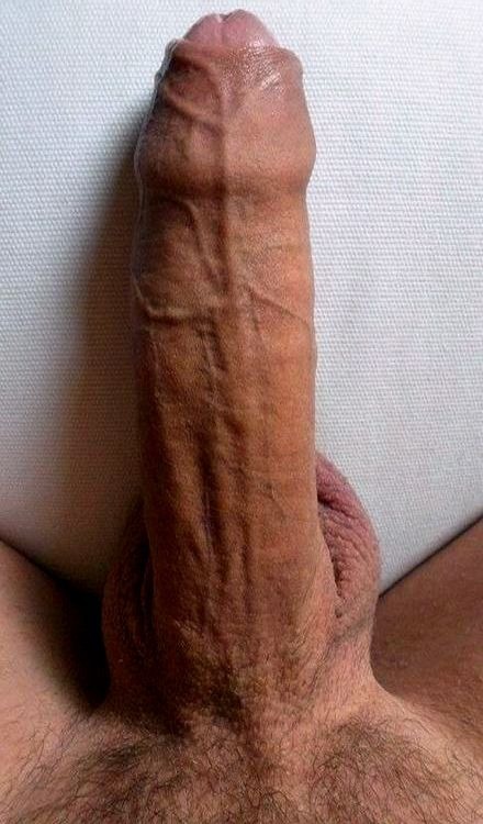 wowcocks:  ‘Cause, baby, now we got bad big dicks  ;) http:/wowcocks.tumblr.com