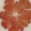 orpheurdice