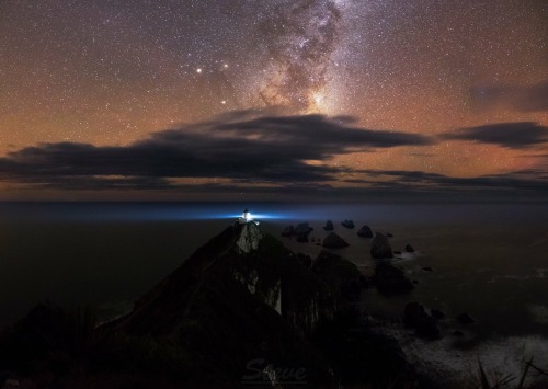 Location: Nugget Point, New Zealand Photo: Steve Clifton