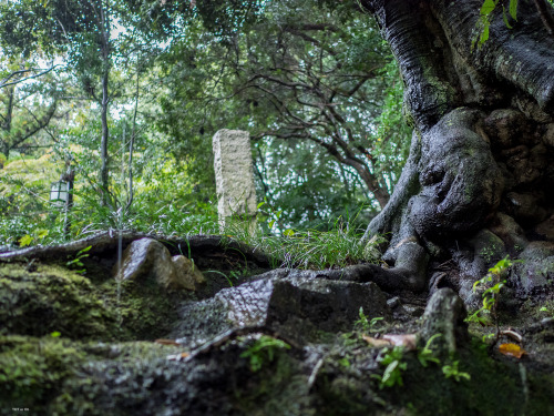 帰りの道中寄ってみましょうと科長神社（しながじんじゃ）と美具久留御魂神社（みぐくるみたまじんじゃ）にふらりと。@masachiさんご推奨の場所ということもあり、なかなかの見応えとまったり感でございまし