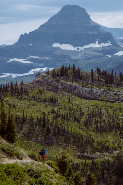 Logan Pass, MT