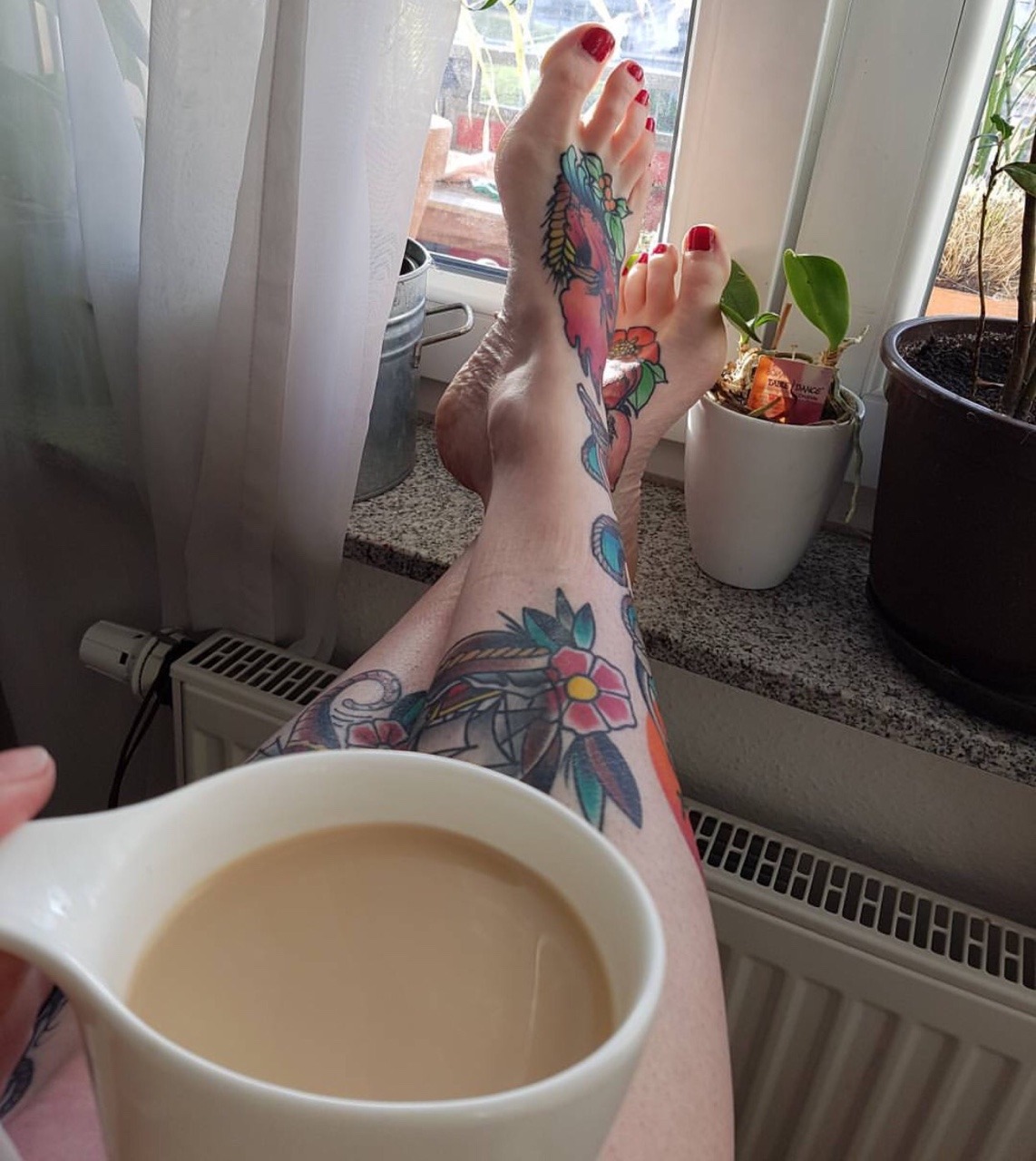 Toes R Us
