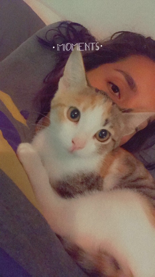 This Is My Fur Baby Isabel.