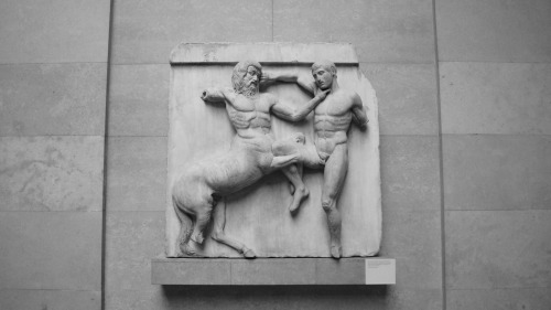 head-home:Metope from the Parthenon.
