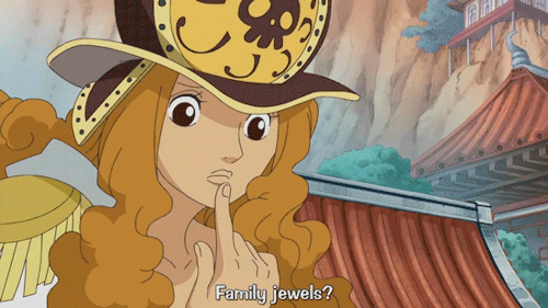 monkey-this-d-luffy:  Luffy giving a little lesson on human anatomy to the women of Amazon Lily