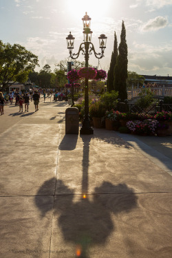 msdisneyprincess:  ilovedisneyworld12:  Hidden Mickey Shadow [Explored 4/10/13 #481] by Kevin-Davis-Photography on Flickr.  That’s Disney for you. 