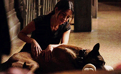   Sameen Shaw↳3.03 Lady Killer   
