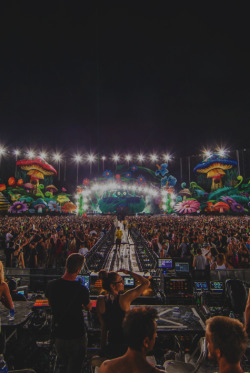 rave-nation:  EDC LV 2013  