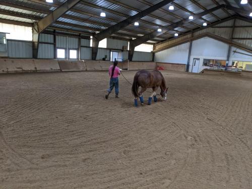 We got there early, but one of the Teens was already putting horses out, since Other Teacherlady is 