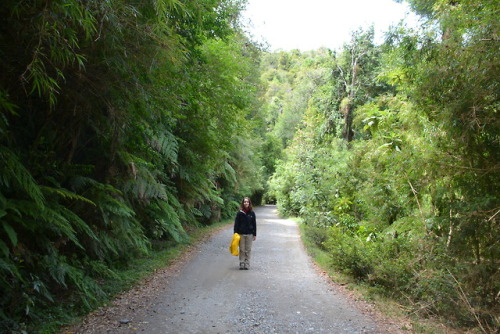 Parque Oncol, Selva valdiviana