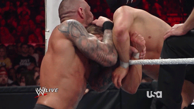 freeloveisnotfree:  Is it me or Randy was really turned on in this match?