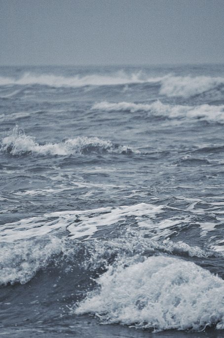 raises:  nature blog 