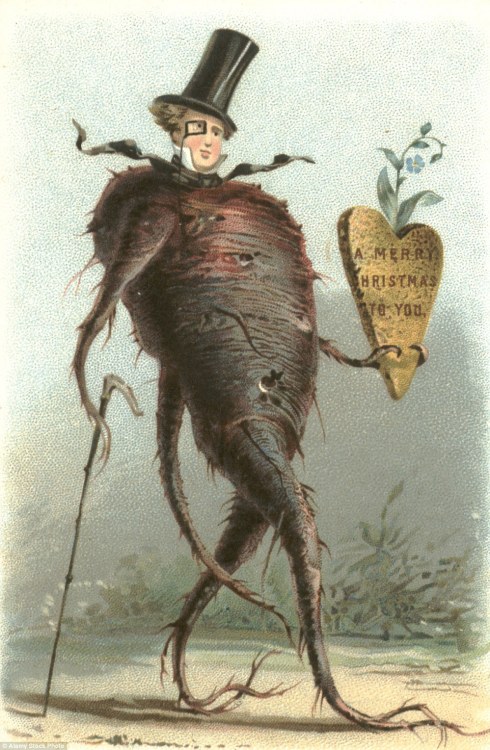 dormousesaidfeedyourhead:A manly tuber plant wishes you Merry Christmas.Victorian christmas card.