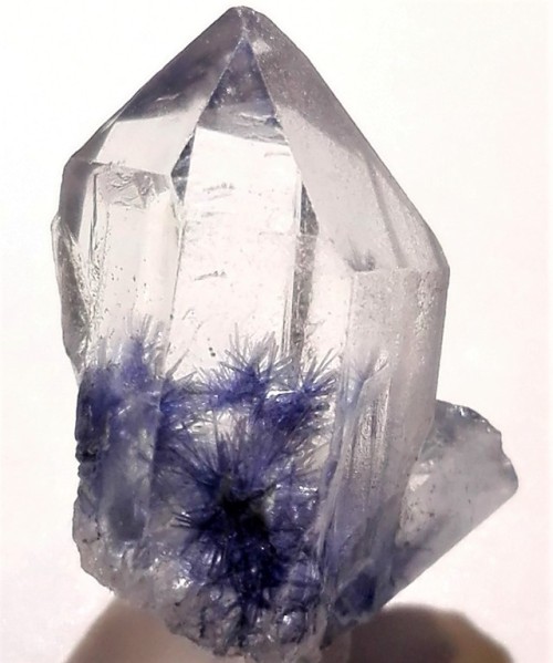 bijoux-et-mineraux:Dumortierite in Quartz - Vaca Morta Quarry, Boquira, Bahia, Brazil      