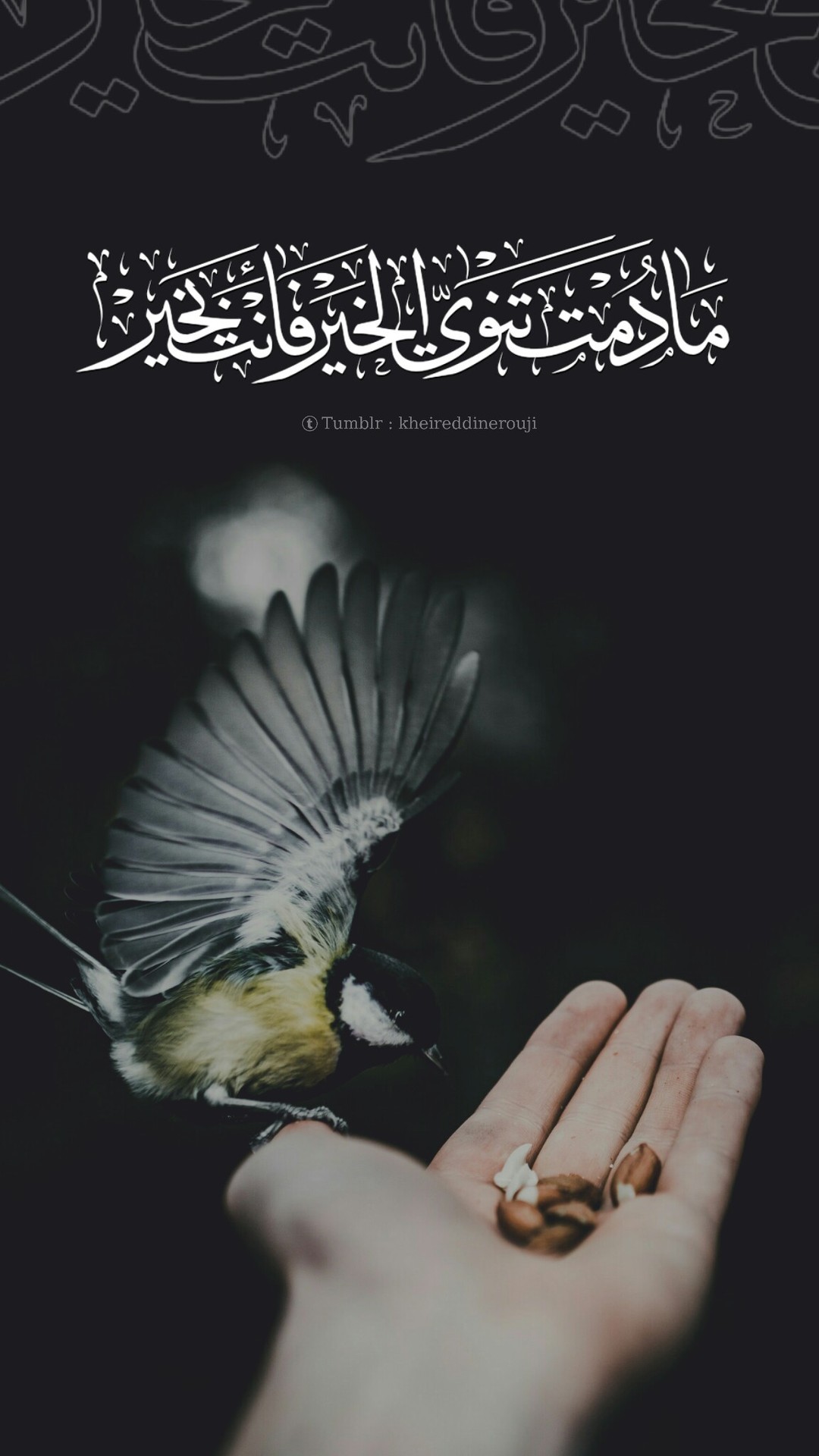 خلفية Explore Tumblr Posts And Blogs Tumgir
