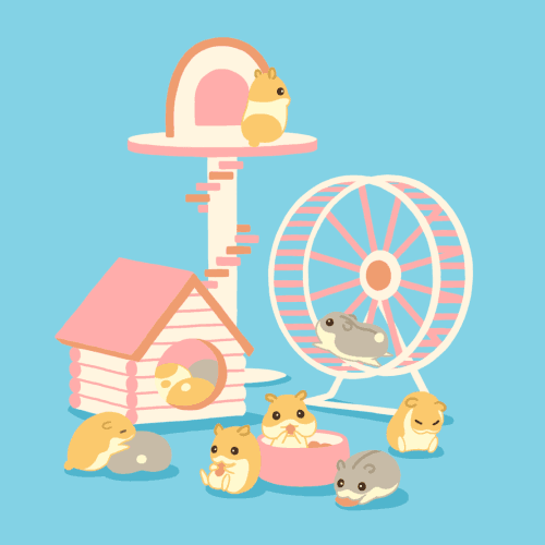 Nori S Illustration Animation Photograph