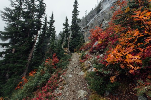 nevver:  You have come to the end of the world, keep walking - Griffin Lamb 