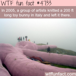 notentirelymediocre:  wtf-fun-factss:  Group