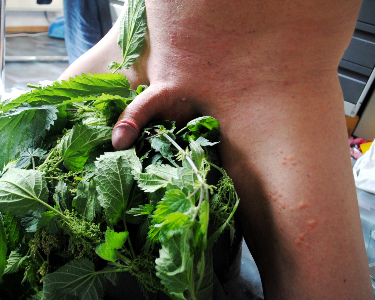 fresh nettles, what could be better than that?