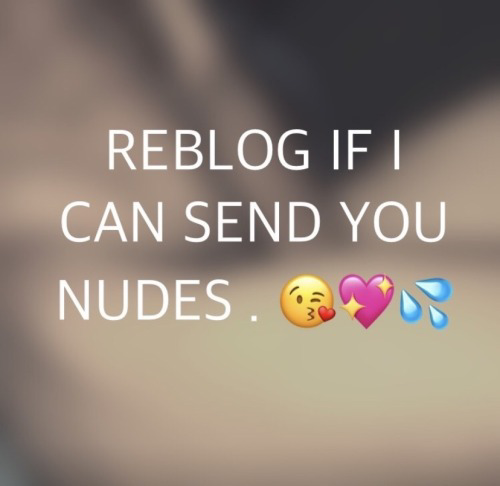 Reblog 
