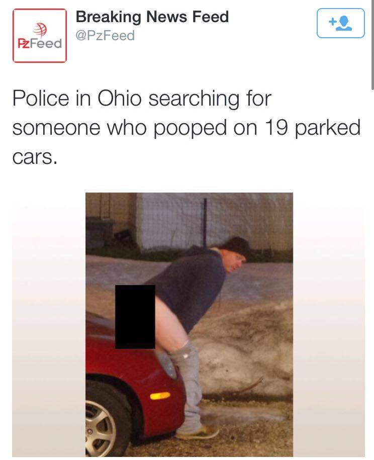 brown-shuga-trompeta:thats a lot of poops