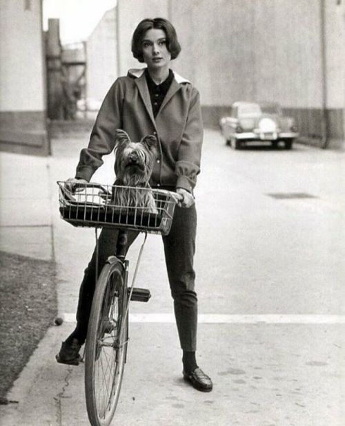 through-a-historic-lens:Audrey Hepburn And Her Dog Mr. Famous Photographed By Sid Avery, 1957