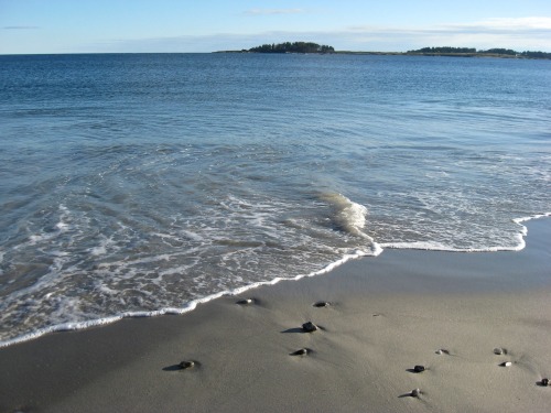 Pictures from around Portland, Maine: Back Cove and Crescent Beach.