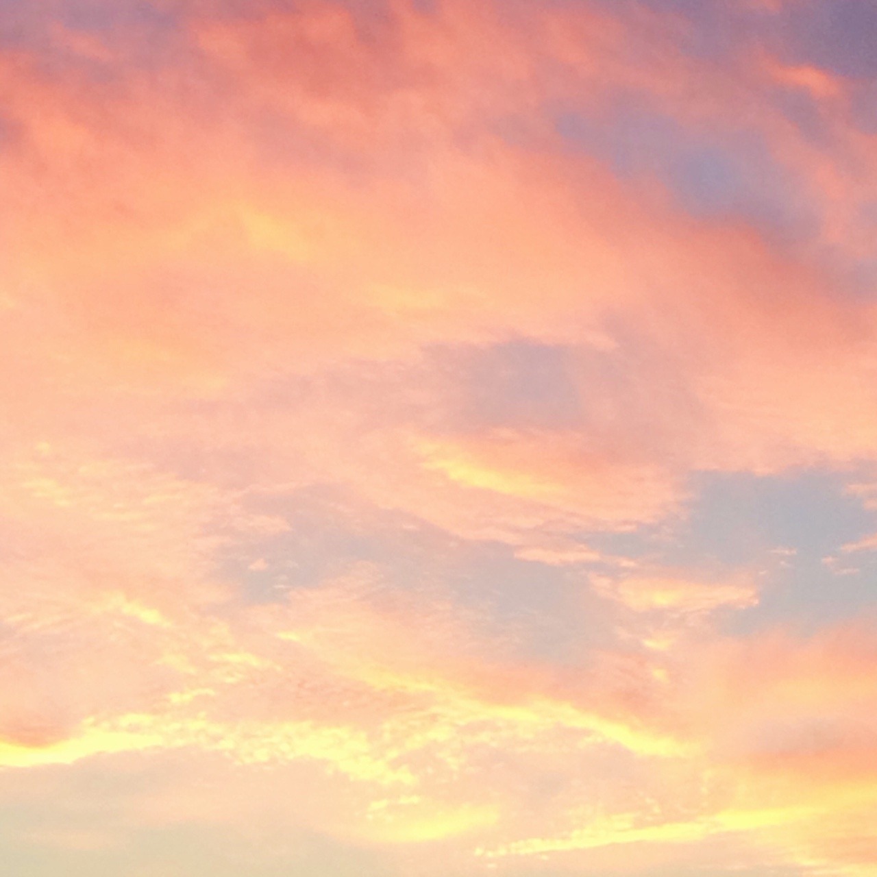 softwaring:pretty skies the other day