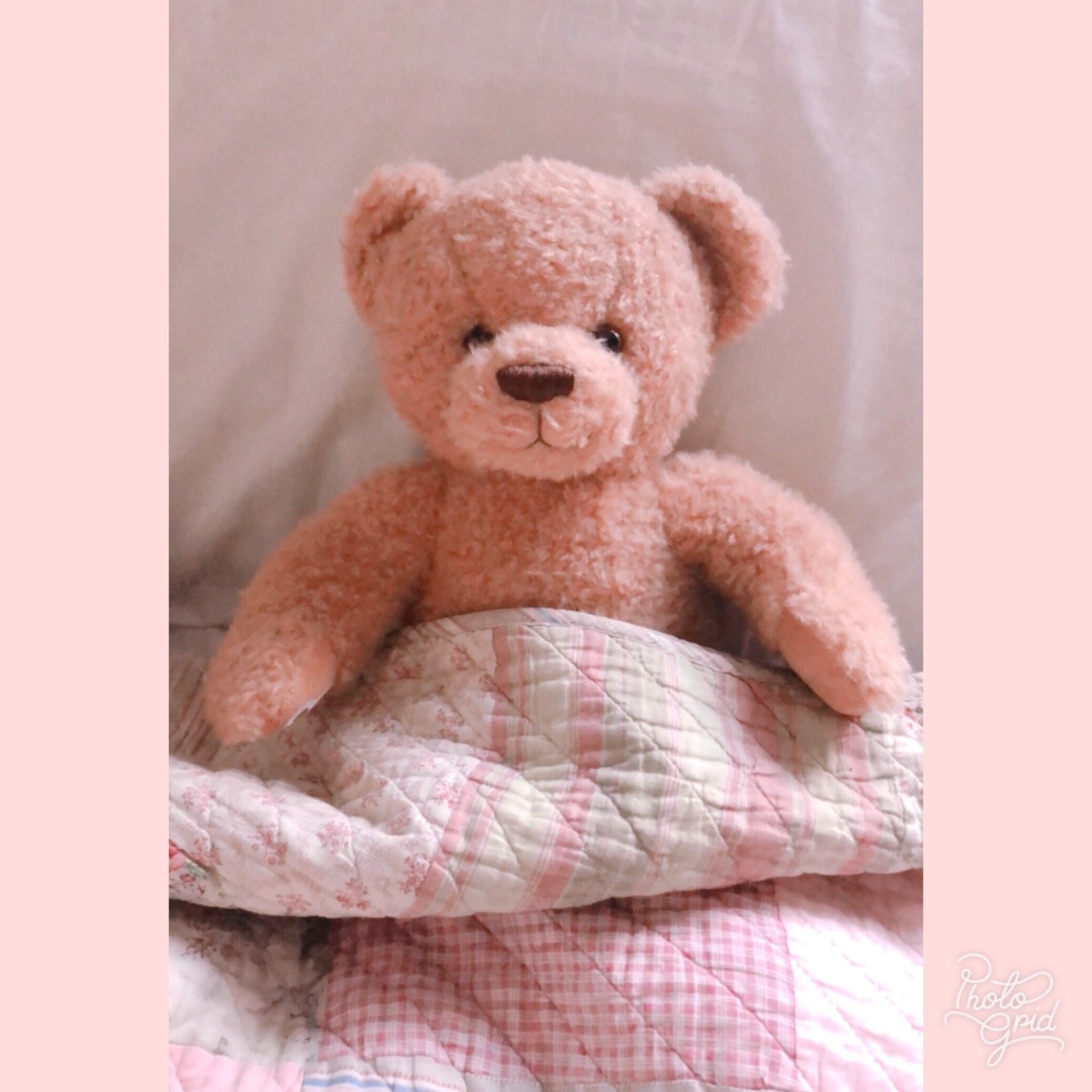 teddy bear tumblr