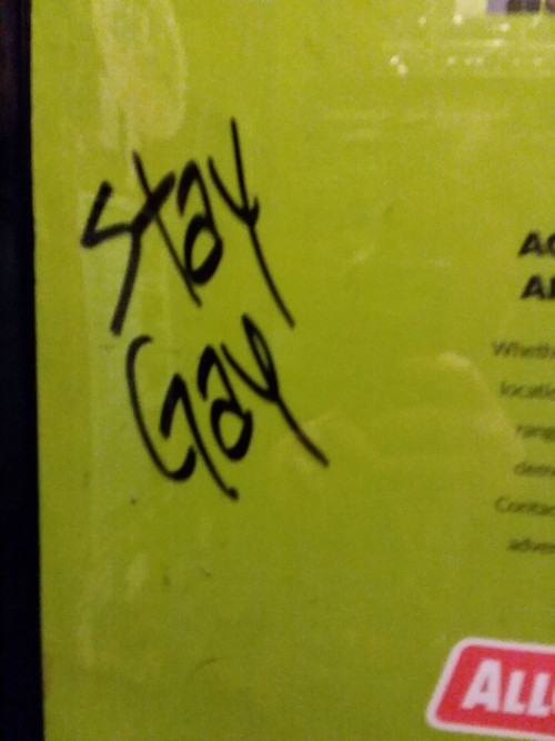 “stay gay”found in a concert venue in Chicago, Illinois, USA