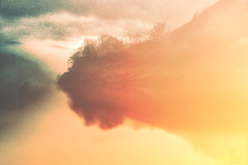 iamthewoodendoors:  Complete series. Website |  Facebook  | Instagram | Flickr 