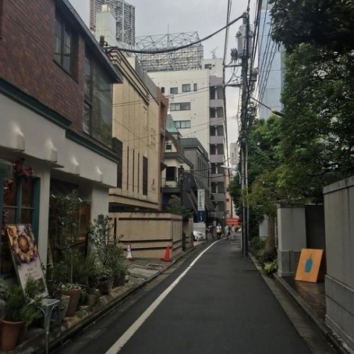 通り