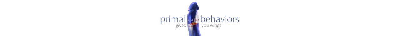 primalbehaviors:  Bexie Williams primal behaviors  :  follow   •   adult tag directory