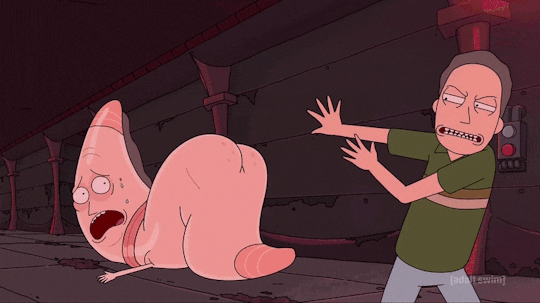 When a porn-bot follows you: