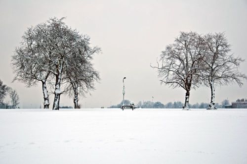Snow. Blackheath, South London, February 2012.