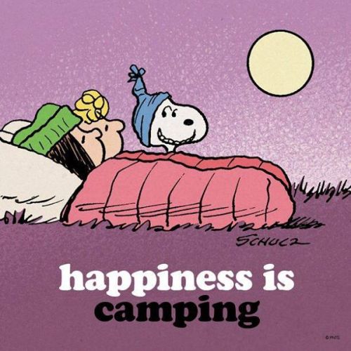 dirtyhippieproductions:   Camping. Good and good for you ☮  ❤ ॐ   