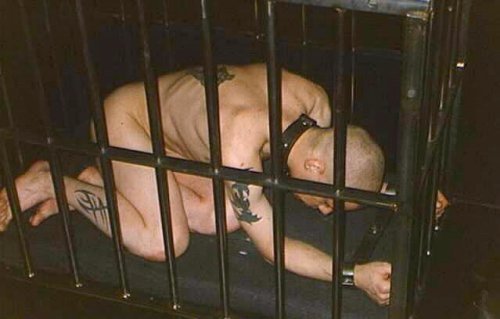 realslave247:Caged