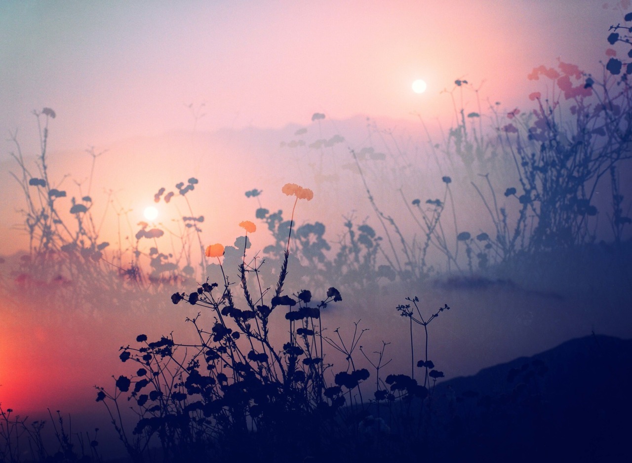 landscape-photo-graphy:  Plantraits by Anthony Samaniego Los Angeles-based photographer Anthony