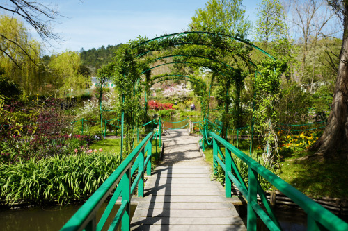 myend-ismybeginning:   Giverny & Monet’s Gardens  