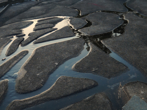 Les premières tentatives de cartographier le delta du Mississippi remontent au début du 18e siècle.  Milieu incontrôlable, fragile et mouvant en soi, il est depuis constamment transformé pour l'exploitation de ses ressources. Navigant entre les temps et les espaces, Sweat nous immerge progressivement entre les lignes des cartes, dans la part insubordonnée et fluctuante de ce territoire, en compagnie d'êtres vivants qui le peuplent.  Événement programmé dans le cadre de la 13ème édition du Week-End de l'Art Contemporain de Toulouse et sa métropole - réseau PinkPong et du Mois de l'art contemporain - air de Midi, réseau art contemporain en  Occitanie  - produit par : Elise Florenty et Clémentine Roy-Parkadia - soutenu par : La Région Occitanie, le Consulat de France en Louisiane, Deltaworkers residency, le Dôme festival. - avec : Liam Conway, WIlliam Jackson, Alanna Maureen Geare, Libbie Allen, Chase Mathey, Telltales collective. - réalisation, écriture : Elsa Brès - image et son : Elsa Brès - avec l'aide de Lucas Palen, Noé Cugny, Camille Lenain - montage : Elsa Brès - montage son : Rémi Mencucci - mixage : Maxence Ciekawy - musique originale : Méryll Ampe - étalonnage : Ivan Markovic  BBB CENTRE D'ART, 96, rue Michel-Ange 31200 Toulouse