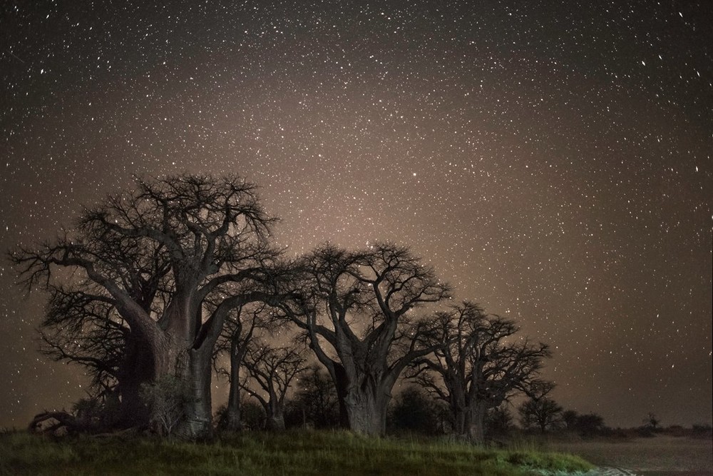 guildhall:  In The Sky With Diamonds Beth Moon, ‘Diamond Nights’ Series, 2012-2014