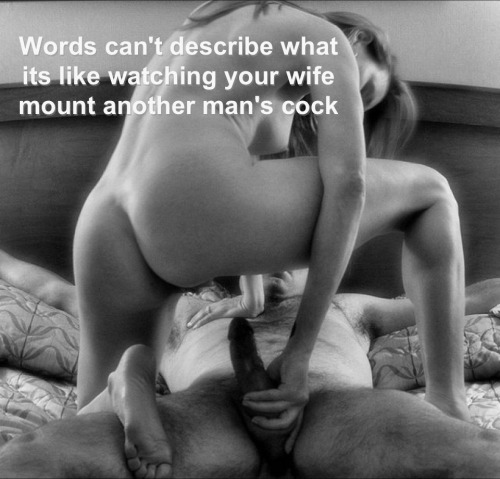 cuckmeme:  If you like cuck images.. follow me at: http://cuckmeme.tumblr.com/ 