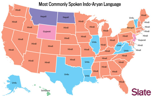 aardwolfpack:  yllohleaves:  What language does your state speak?  see more here!  Apparently Iowans know what the fox says.