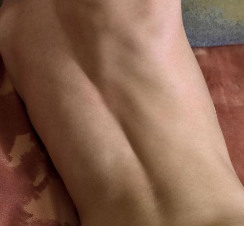 Back-Skin-Muscle